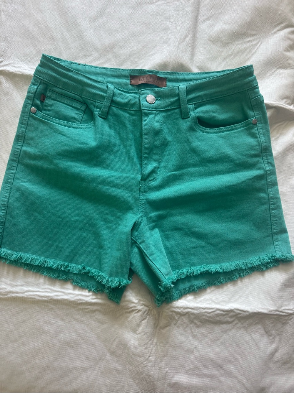 Judy Blue Teal Frayed Hem Denim Shorts